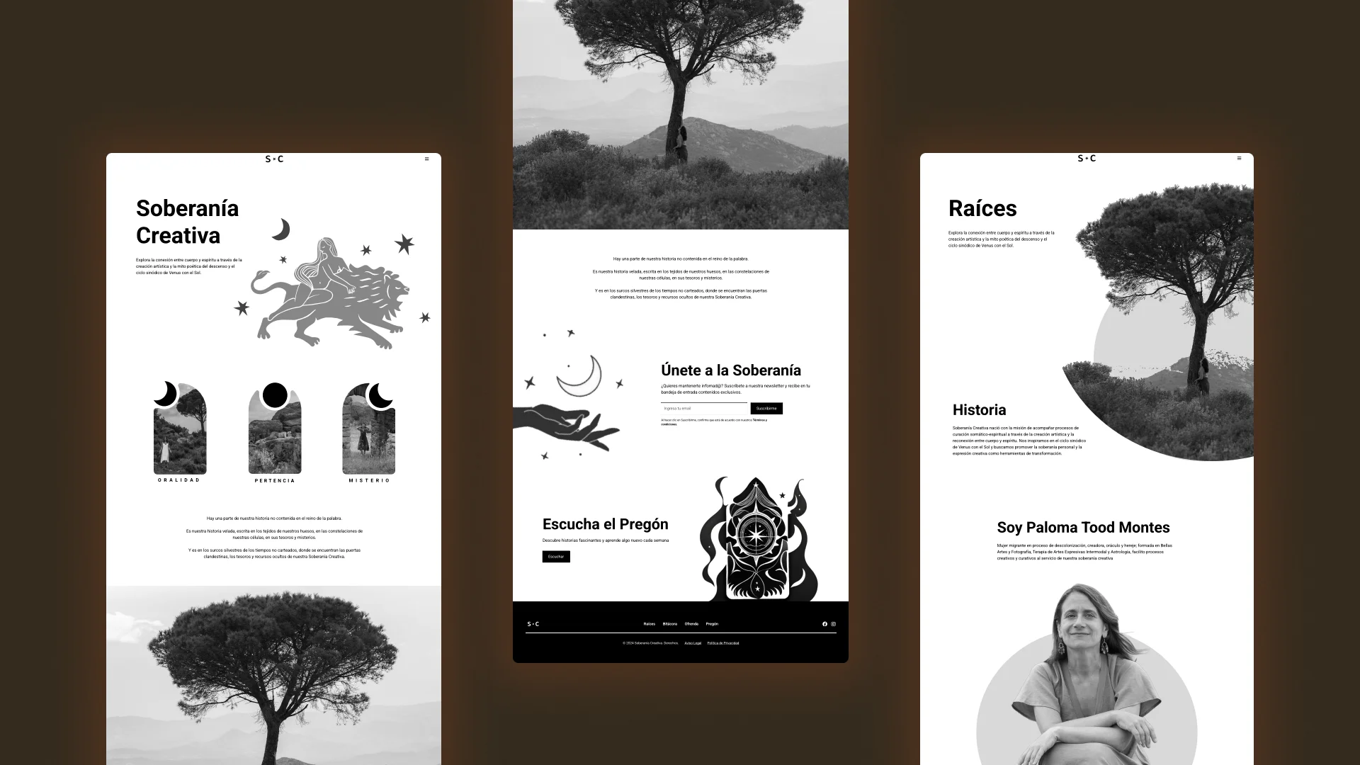 /projects/soberania-creativa/wireframes.webp