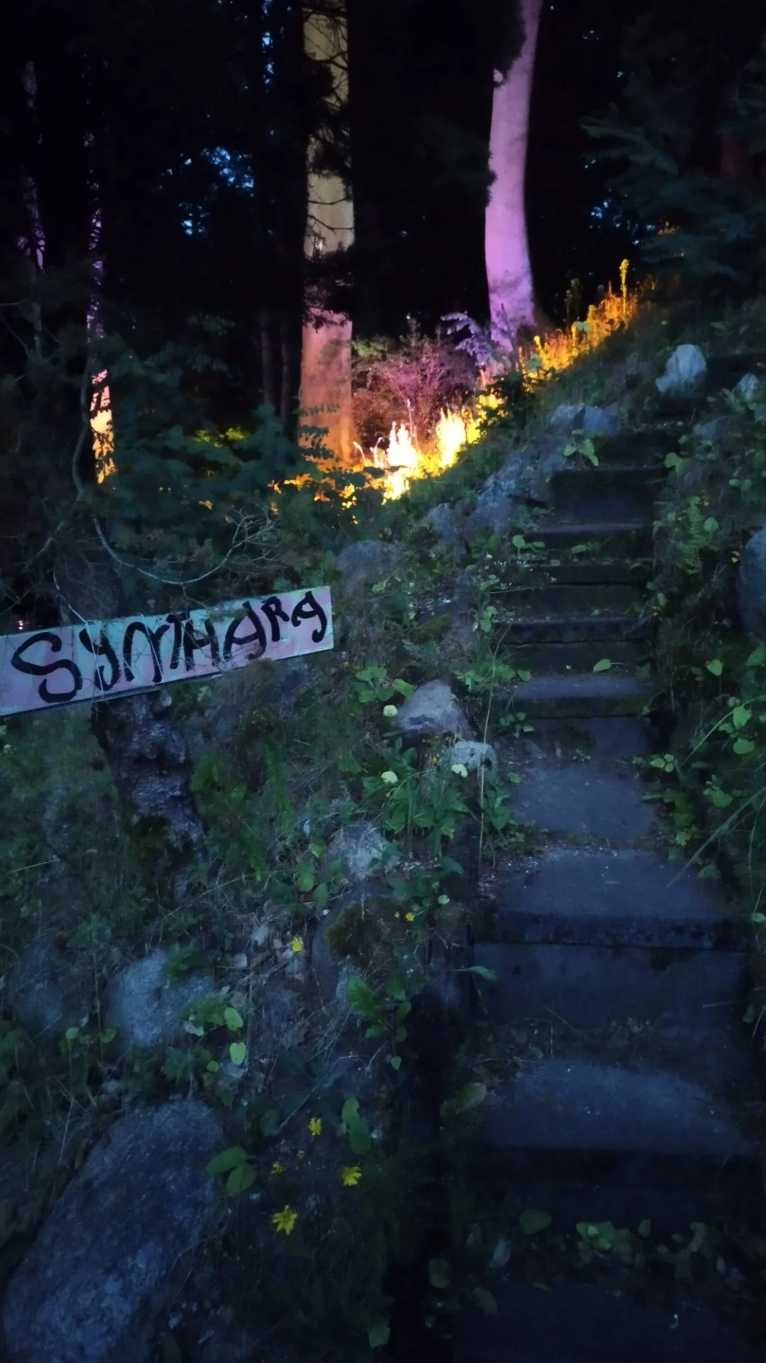 /projects/synthara/stairs.webp